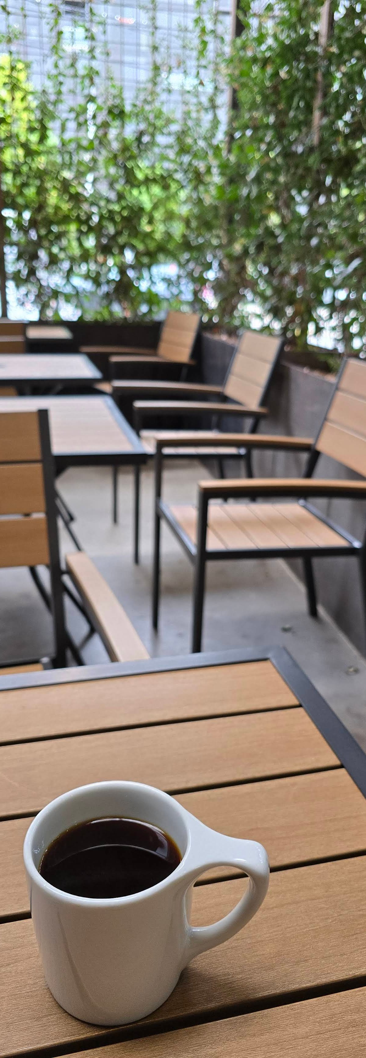 Roseline Coffee Cafe & Roastery specialty coffee shop in Portland - photo 12