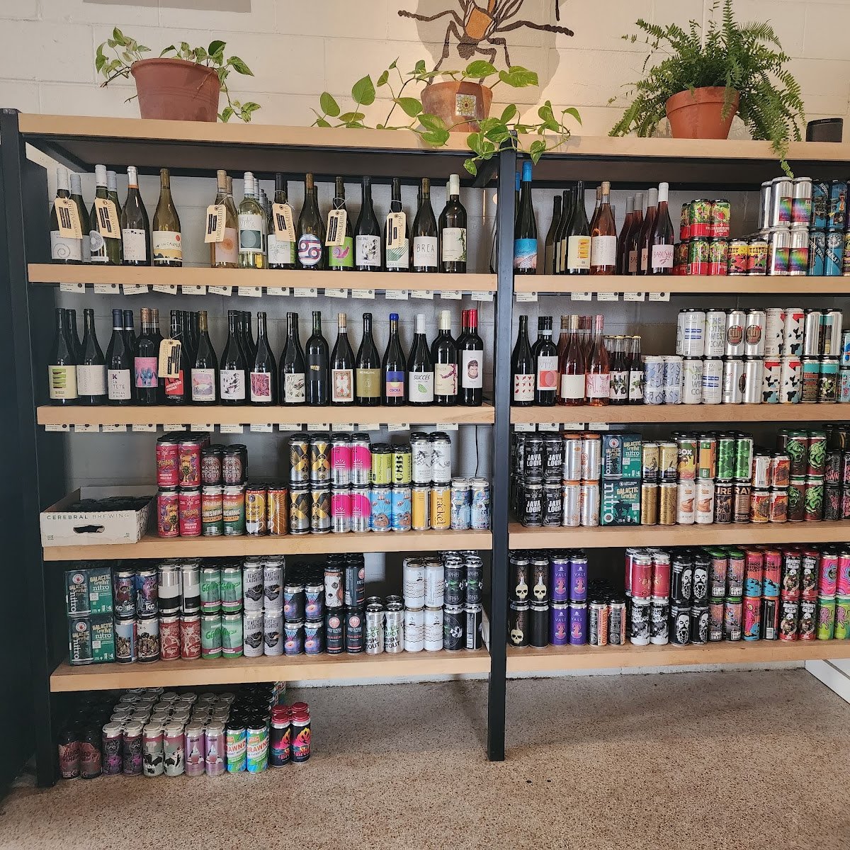 Easy Luck Coffee & Bodega specialty coffee shop in Orlando - photo 8