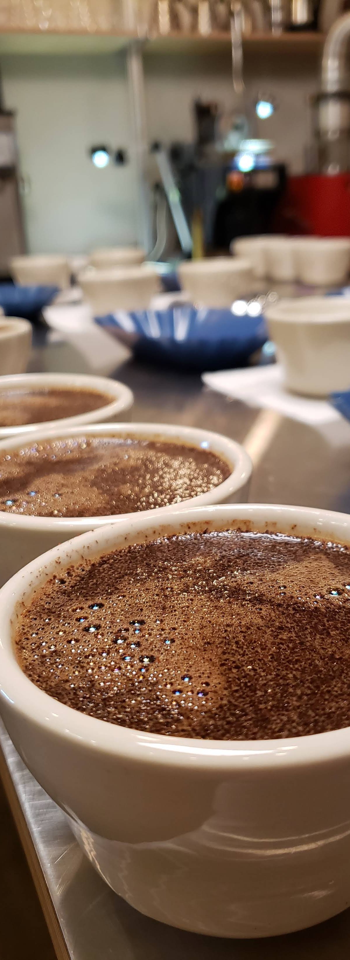 Fulcrum Coffee Roasters specialty coffee shop in Seattle - photo 9