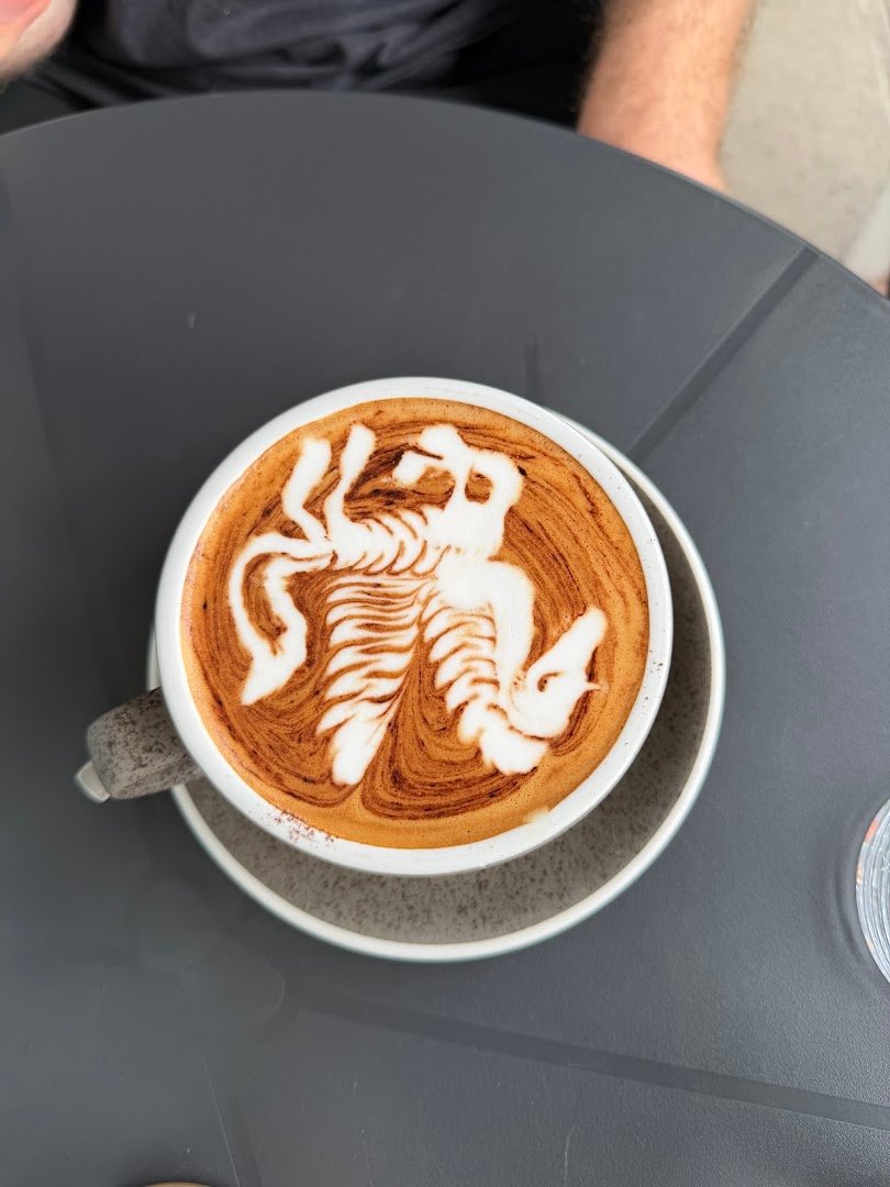 Algorithm Cafe Marrickville specialty coffee shop in Sydney - photo 2