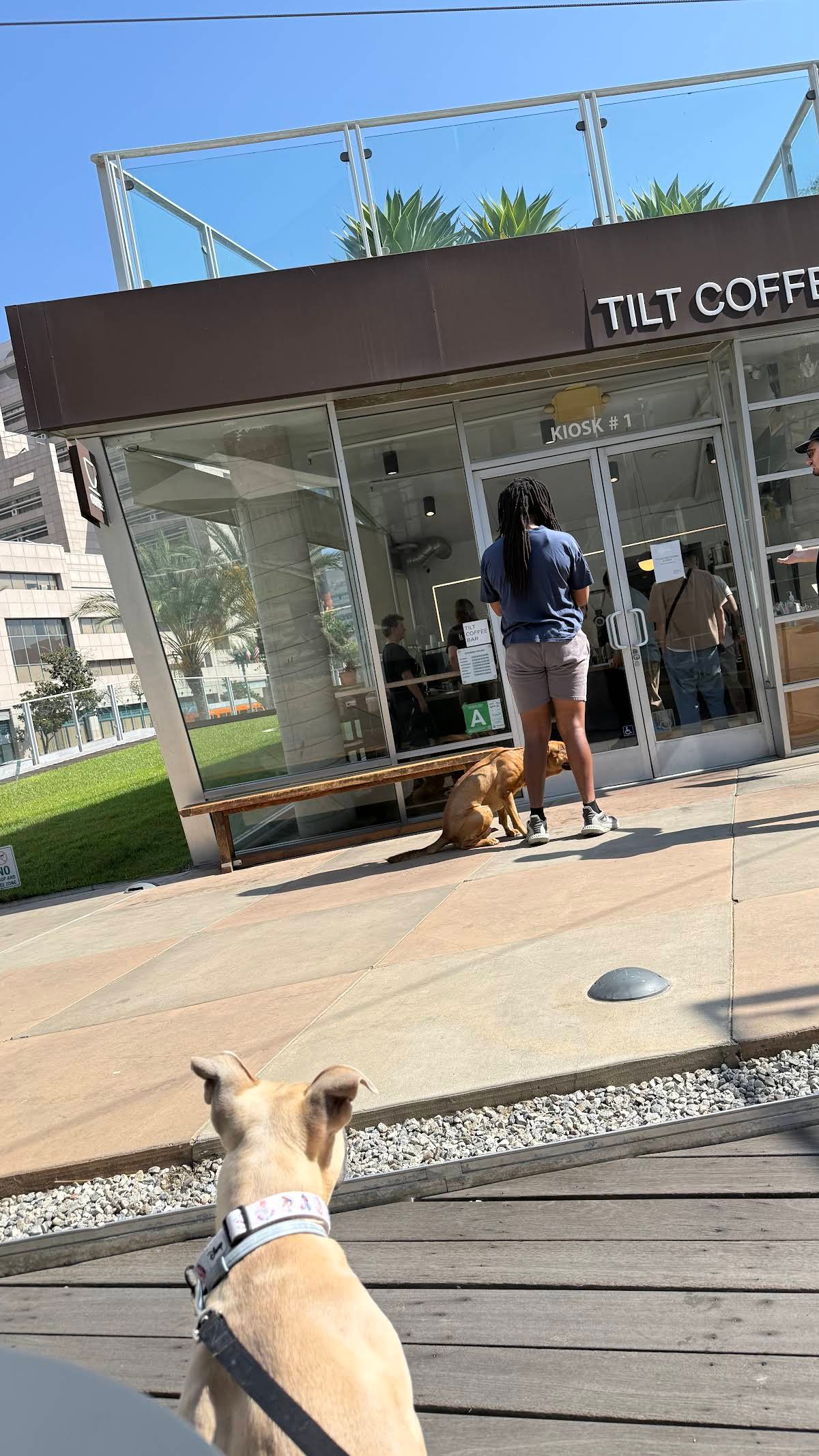 Tilt Coffee Bar specialty coffee shop in Los Angeles - photo 11