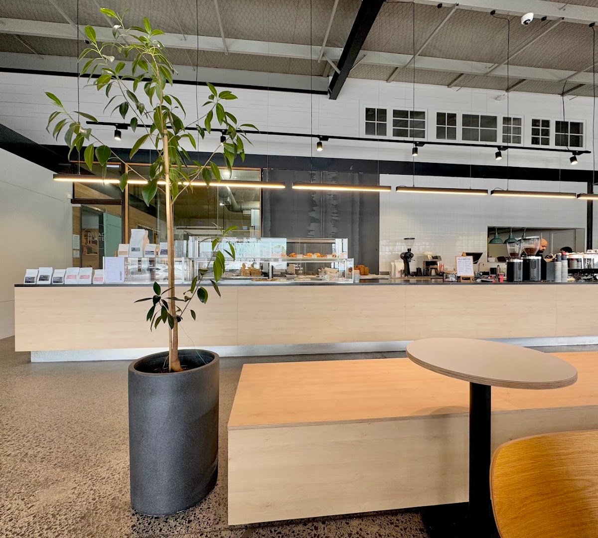 Interior of Red Rabbit Coffee Roastery, specialty coffee shop in Auckland