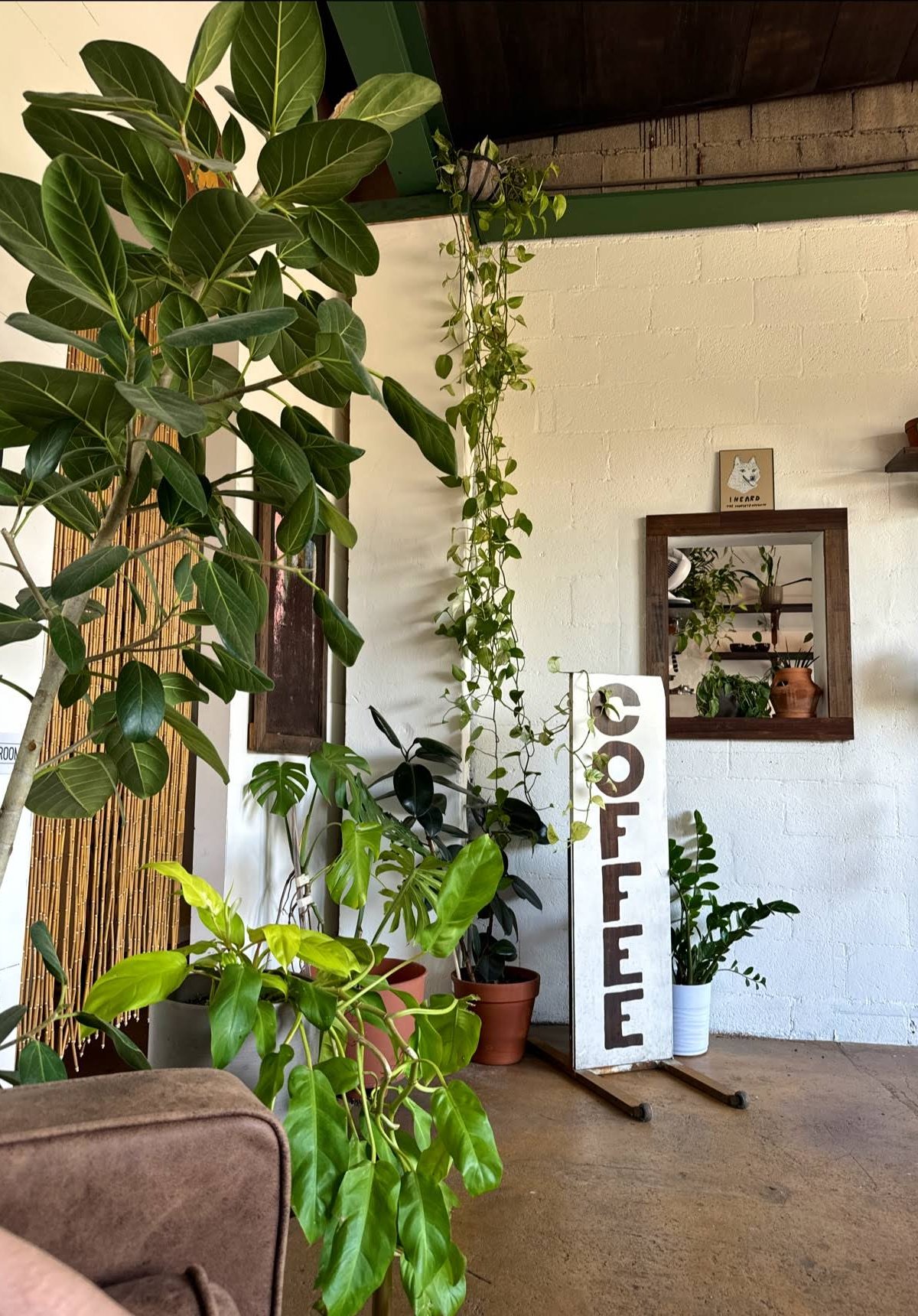 Osa Coffee Roasters, East specialty coffee shop in Nashville - photo 12