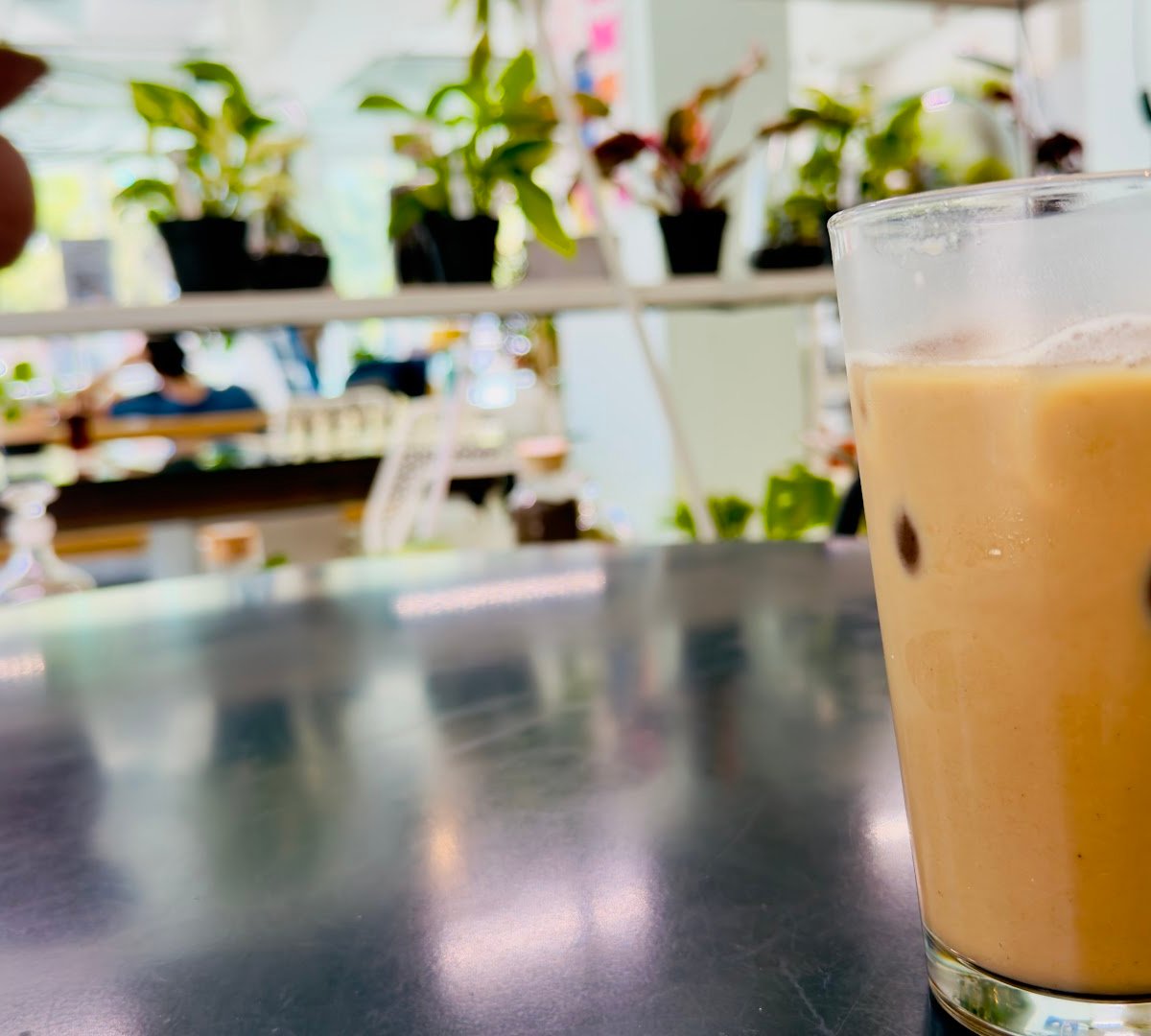 Coffee at dialog, specialty coffee shop in Phoenix