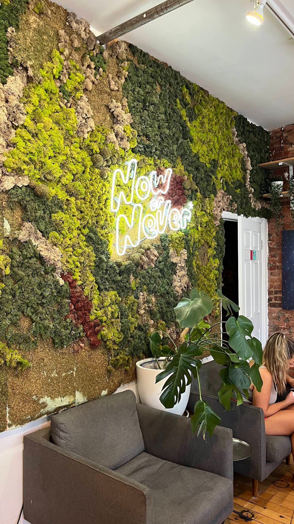 Now or Never Coffee specialty coffee shop in New York - photo 14