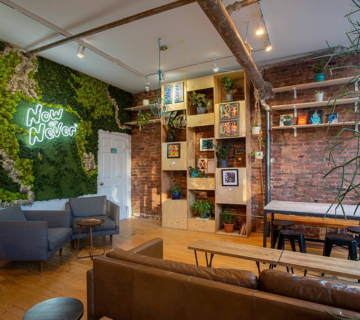 Now or Never Coffee specialty coffee shop in New York - photo 17