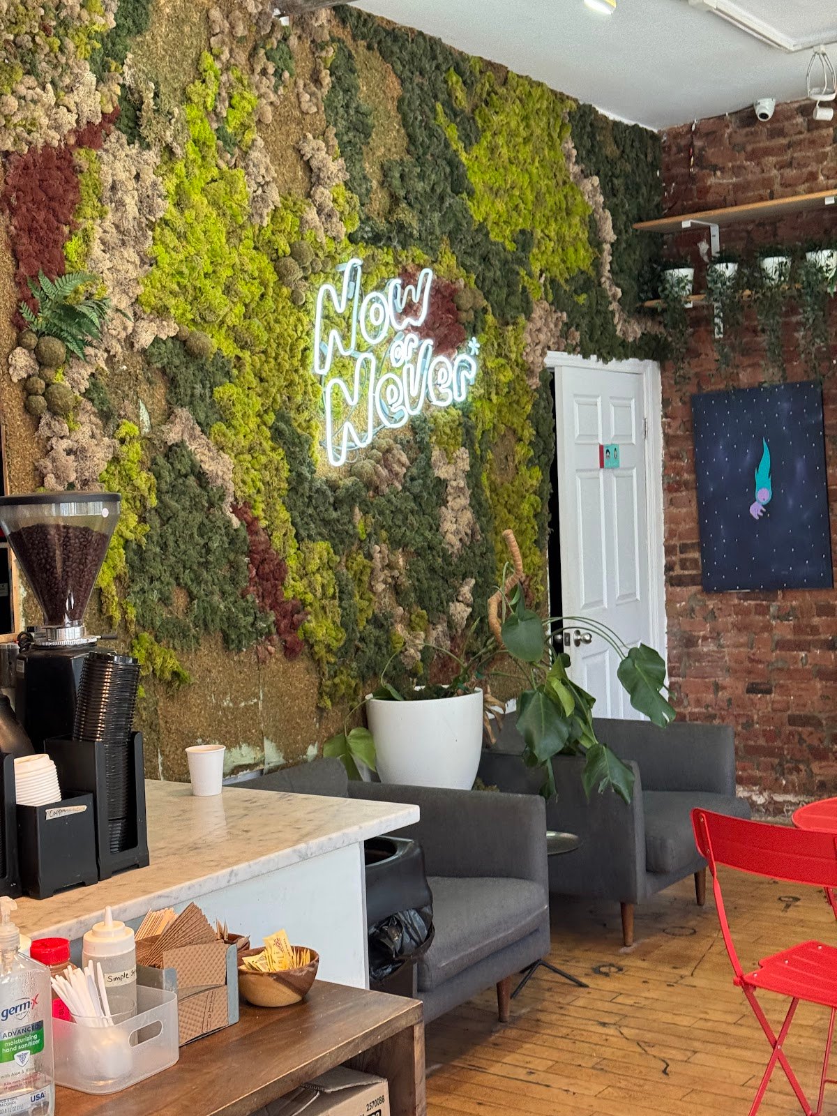 Now or Never Coffee specialty coffee shop in New York - photo 2