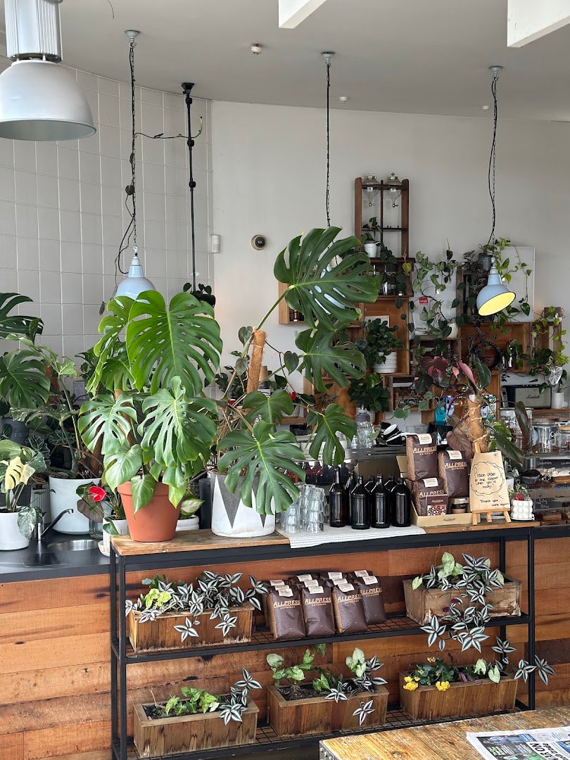 Interior of Black & Gold Coffee Eatery, specialty coffee shop in Auckland