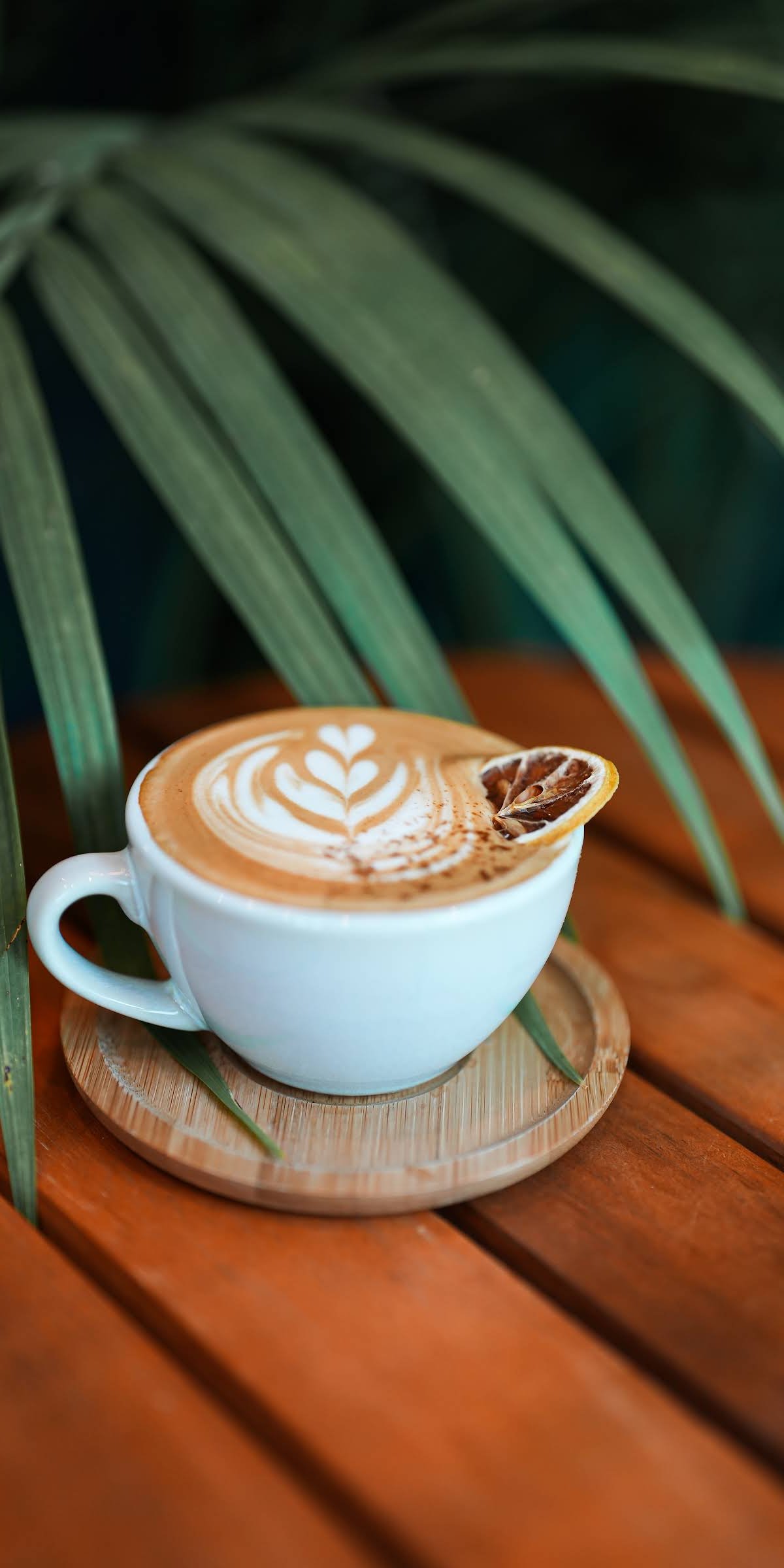 Qreate Coffee + Studio specialty coffee shop in Orlando - photo 10