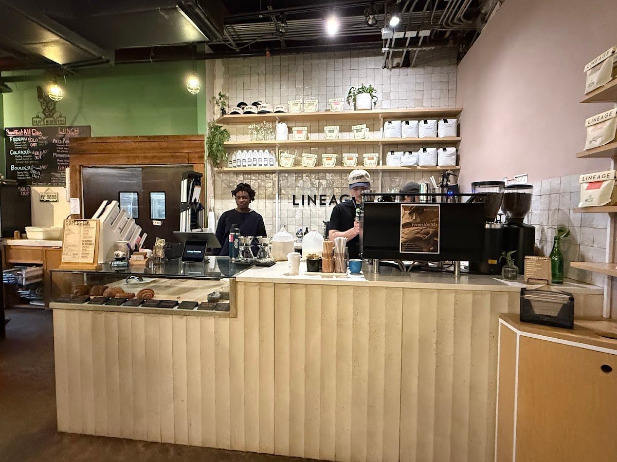 Lineage Coffee Roasting specialty coffee shop in Orlando - photo 2