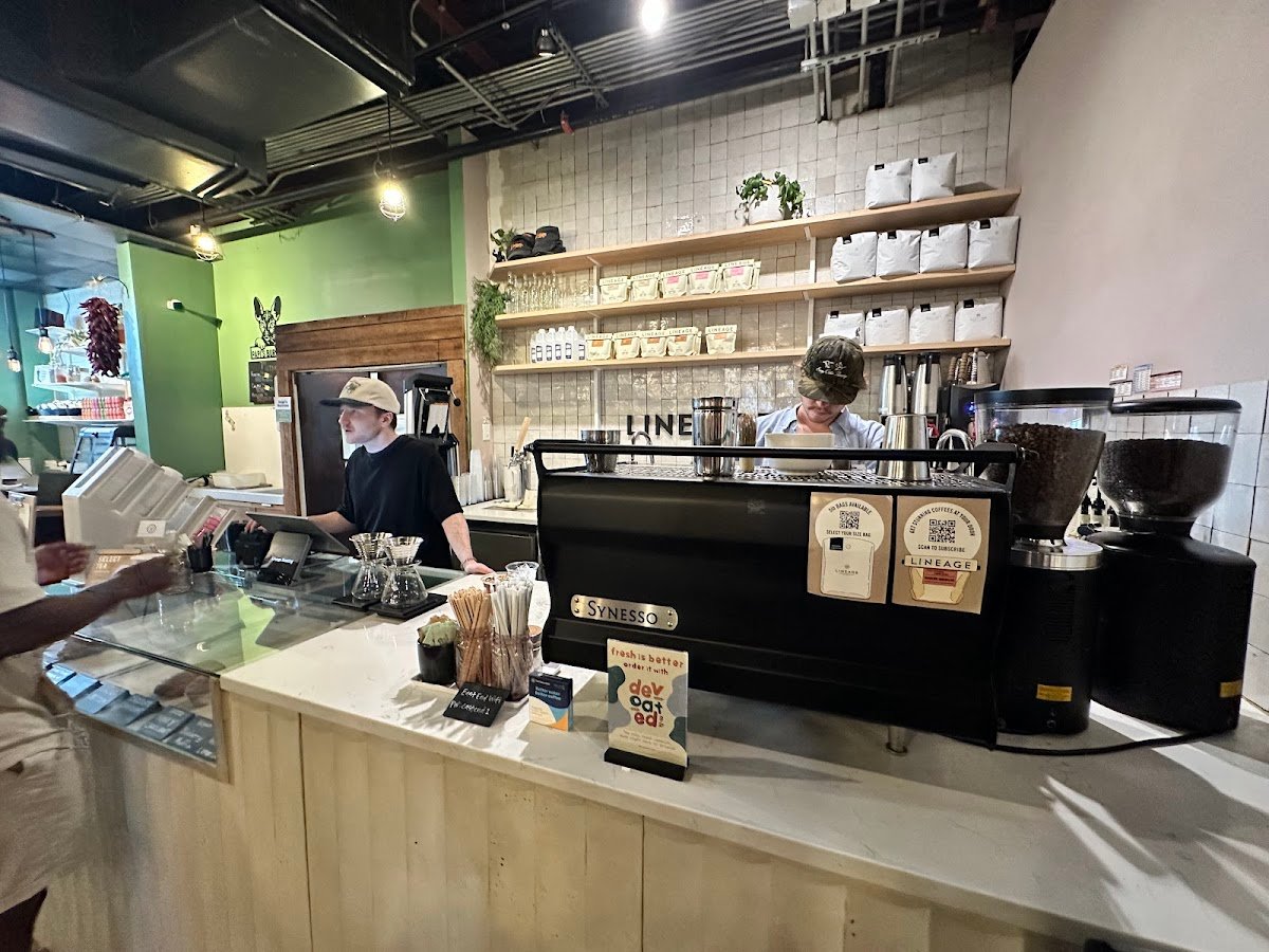 Lineage Coffee Roasting specialty coffee shop in Orlando - photo 3
