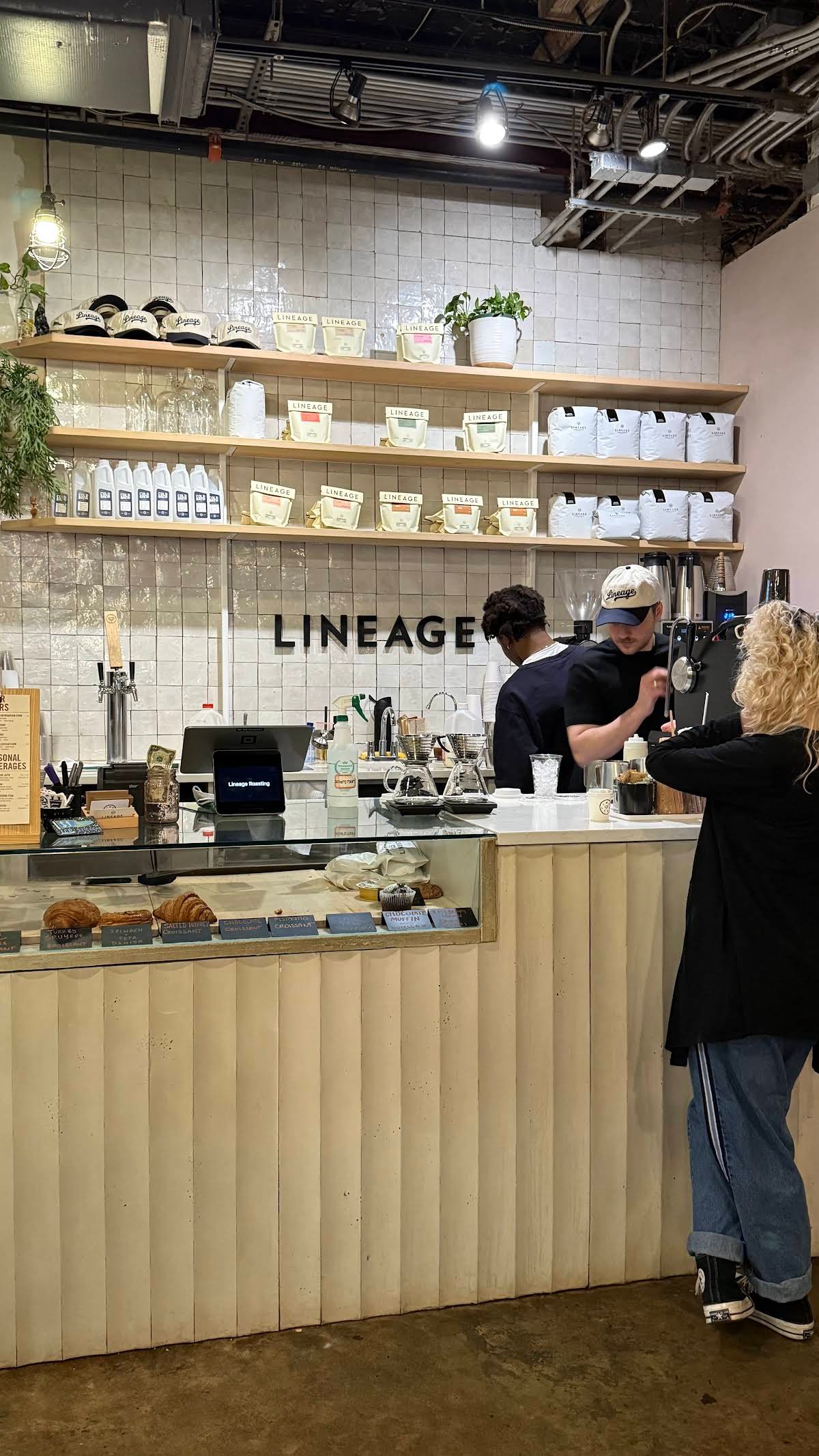 Lineage Coffee Roasting specialty coffee shop in Orlando - photo 5