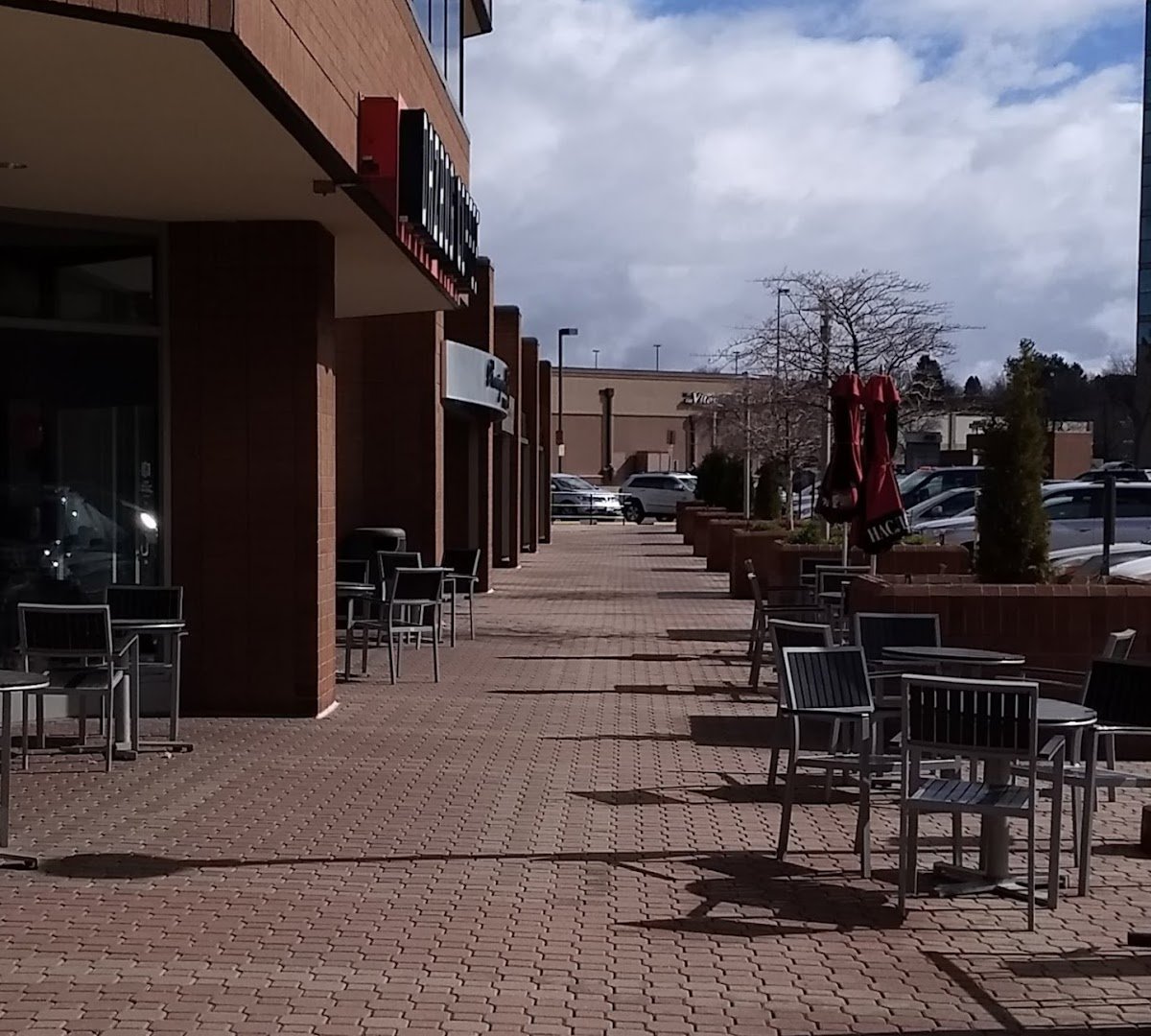Dazbog Coffee specialty coffee shop in Denver - photo 7