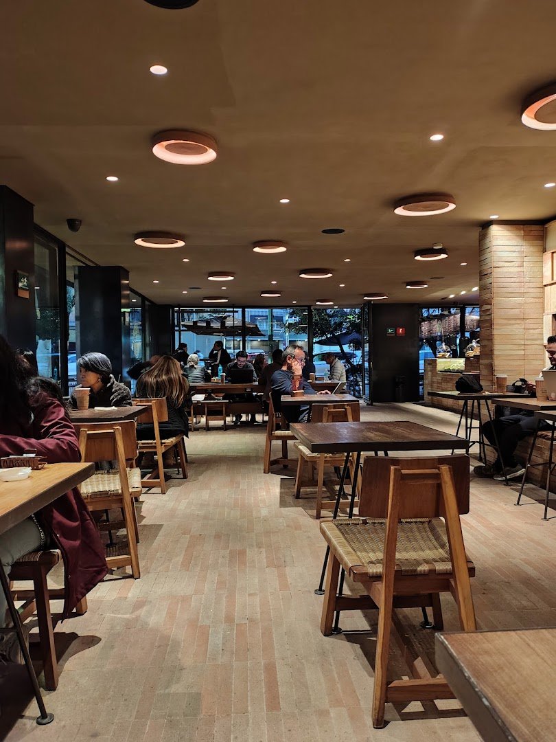 Interior of Tierra Garat Londres, specialty coffee shop in Mexico City
