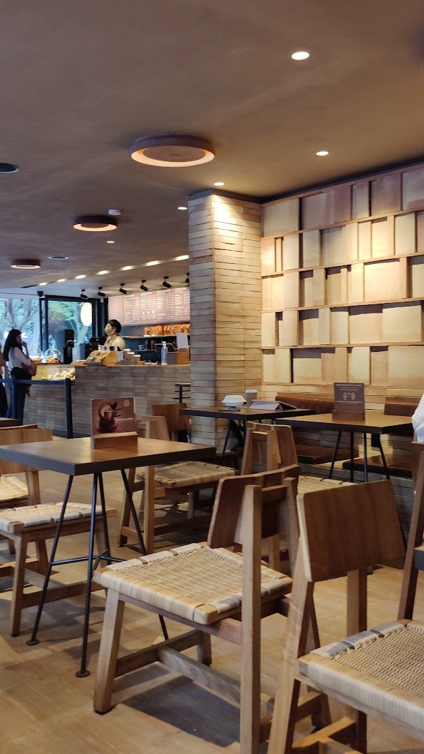 Interior of Tierra Garat Londres, specialty coffee shop in Mexico City