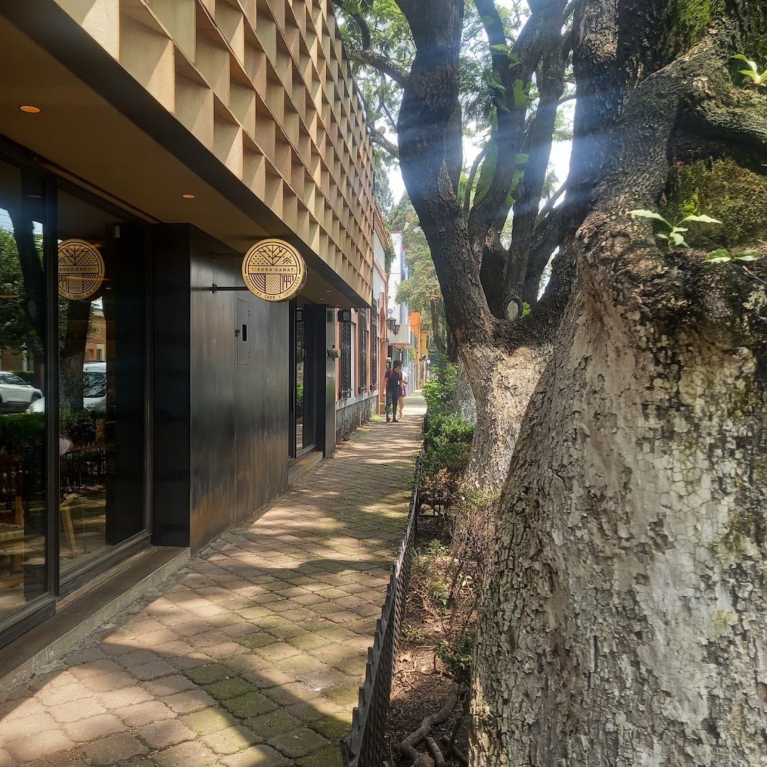 Storefront of Tierra Garat Londres, specialty coffee shop in Mexico City