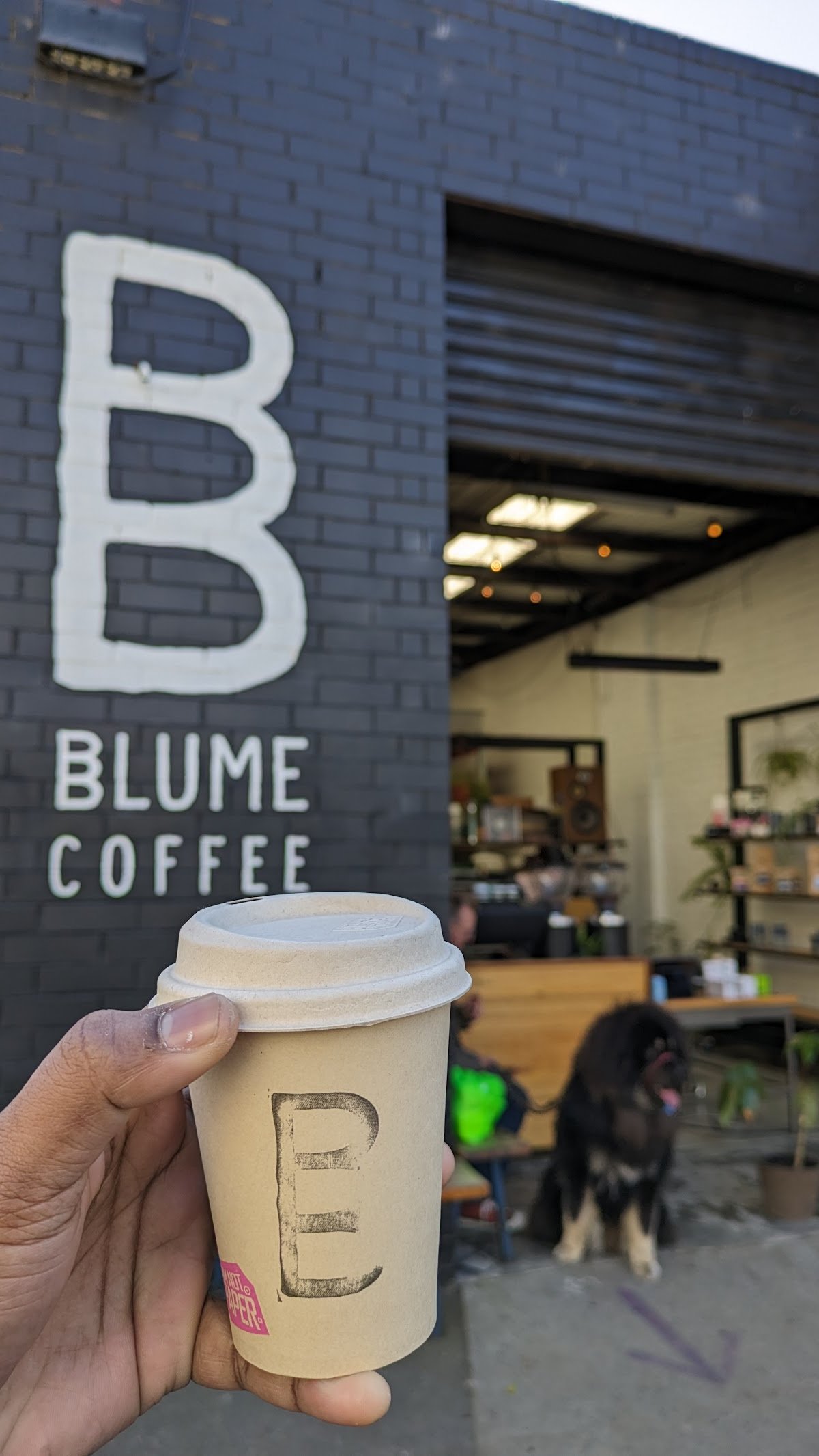 BLUME COFFEE specialty coffee shop in Melbourne - photo 13
