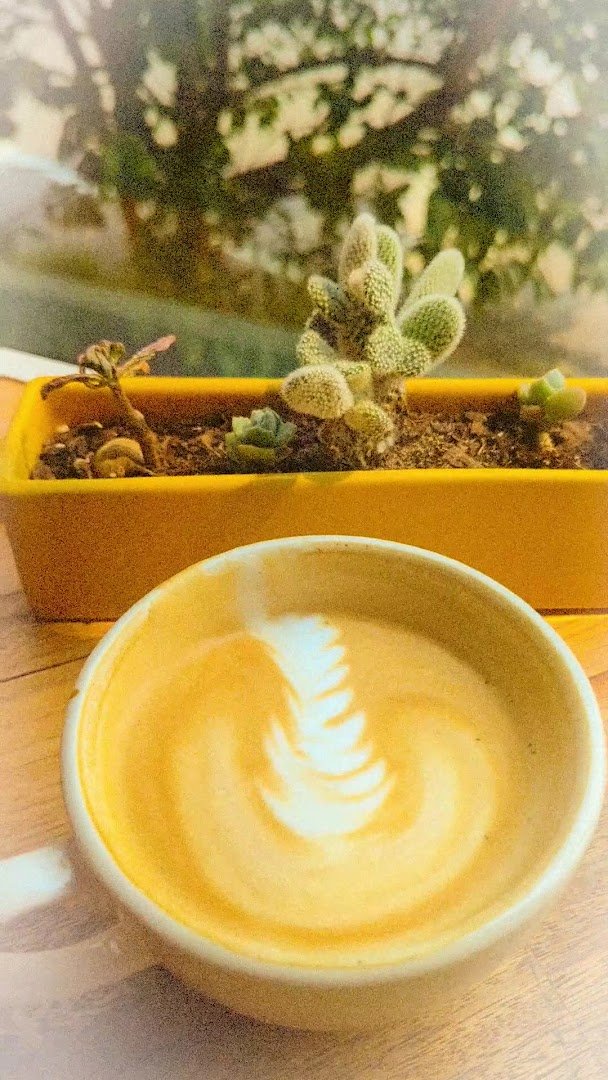 Coffee at Bean Roastery and Cafe, specialty coffee shop in Louisville