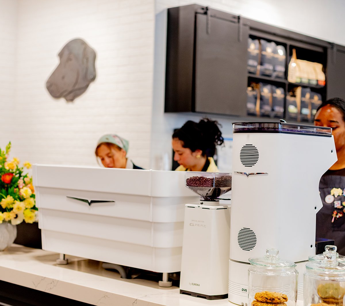 Interior of Buddy Brew Coffee, specialty coffee shop in Tampa-St. Petersburg