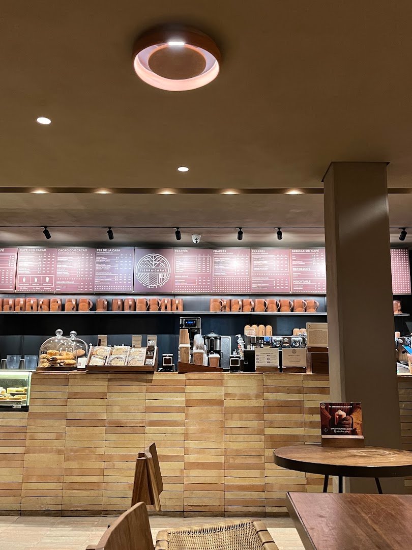Interior of Tierra Garat Mérida, specialty coffee shop in Mexico City