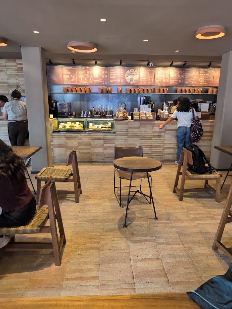 Interior of Tierra Garat Mérida, specialty coffee shop in Mexico City