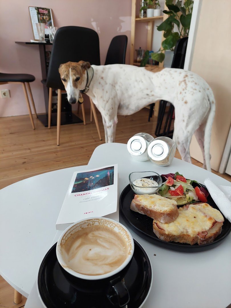 Dehogynem kávéműhely specialty coffee shop in Budapest - photo 6