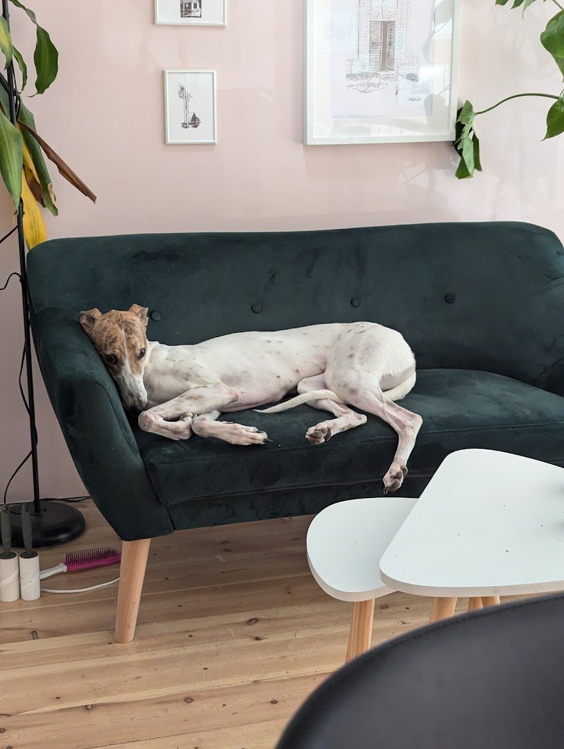 Dehogynem kávéműhely specialty coffee shop in Budapest - photo 7