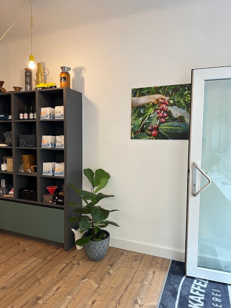 Interior of Wildkaffee Austria Showroom, specialty coffee shop in Vienna