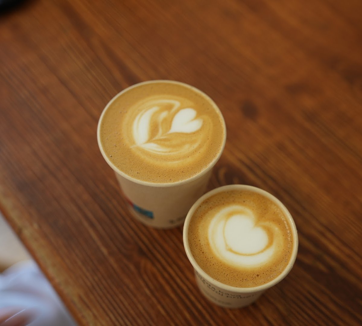 Coffee at Project FOX, specialty coffee shop in Prague
