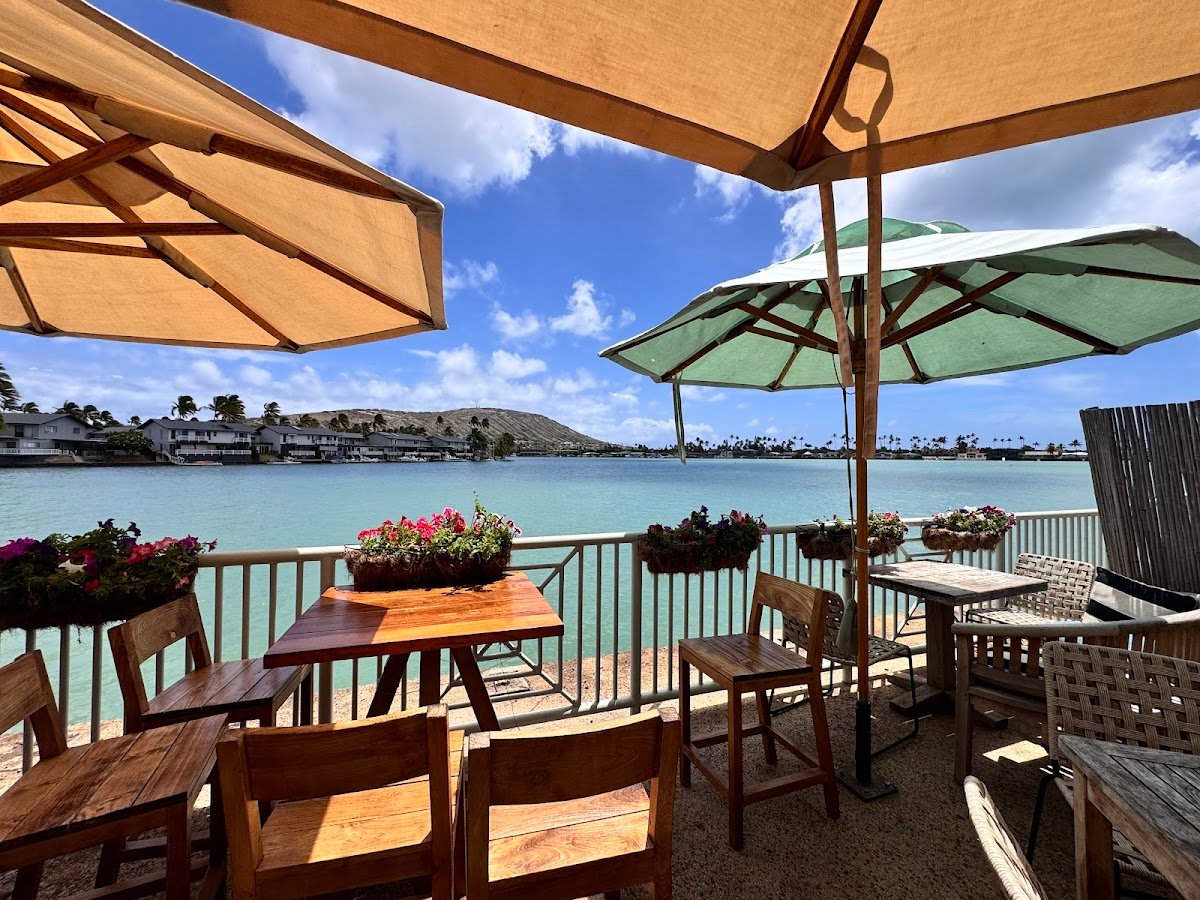 Island Brew Coffeehouse specialty coffee shop in Honolulu - photo 5