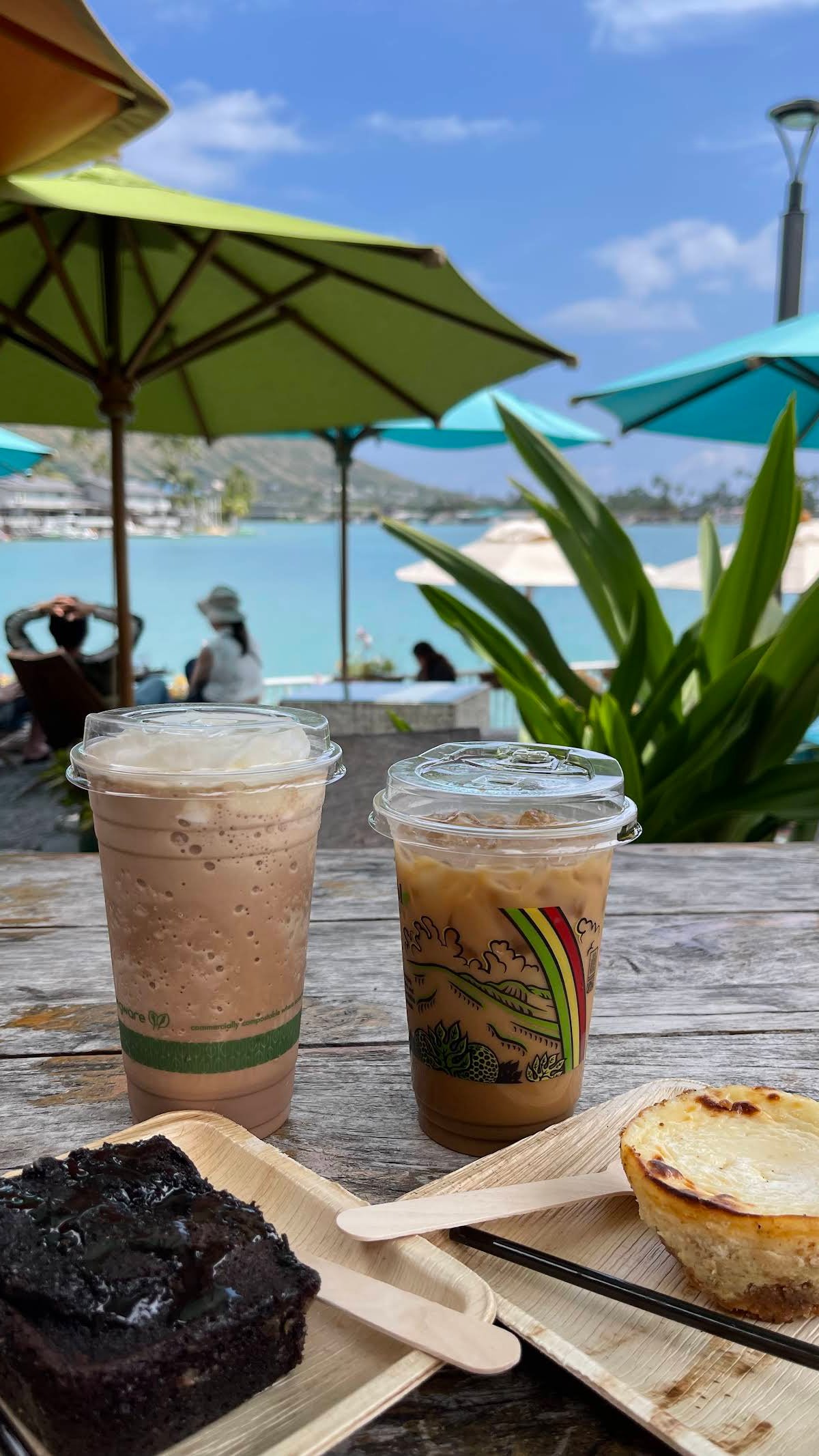 Island Brew Coffeehouse specialty coffee shop in Honolulu - photo 10