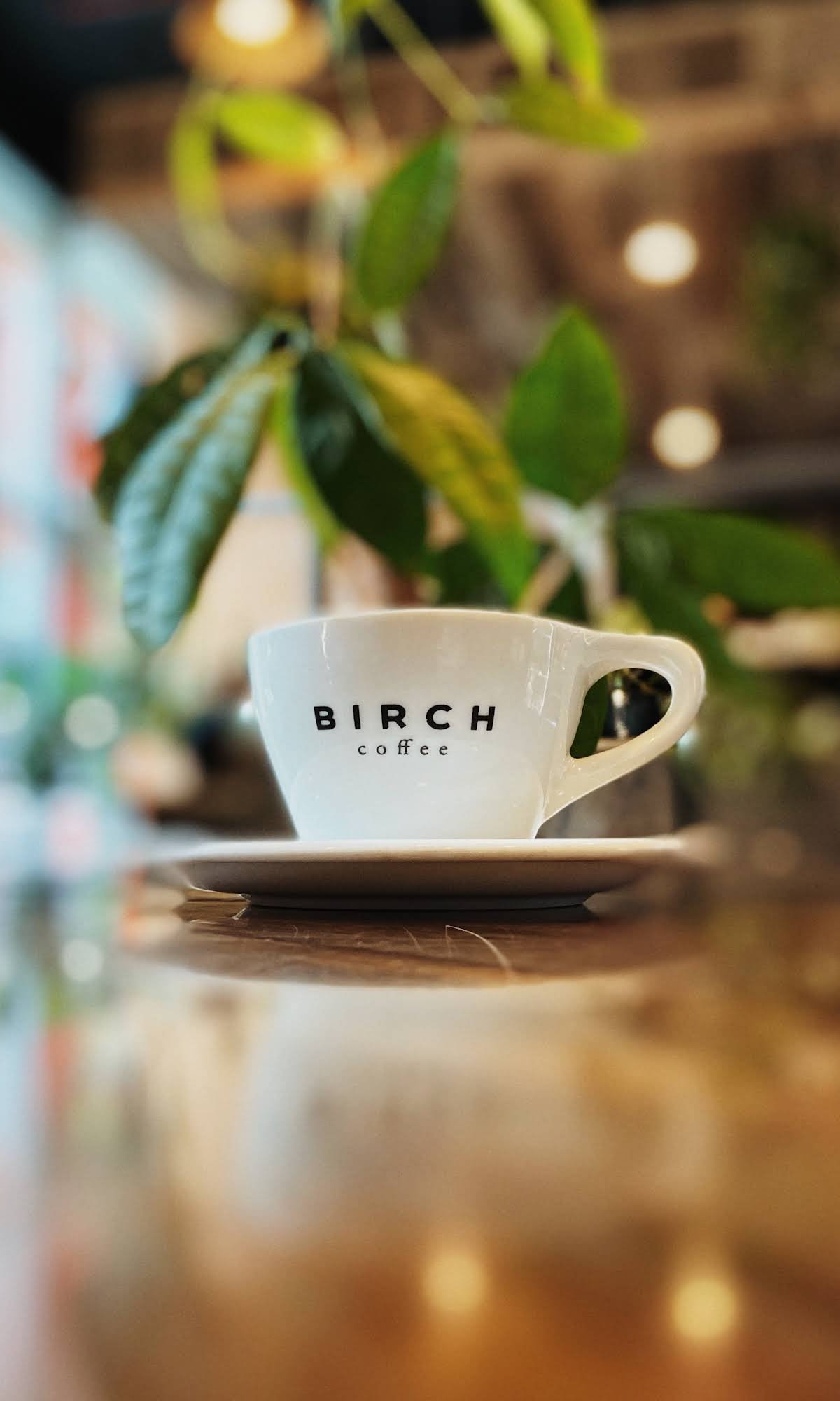 Birch Coffee specialty coffee shop in New York - photo 8