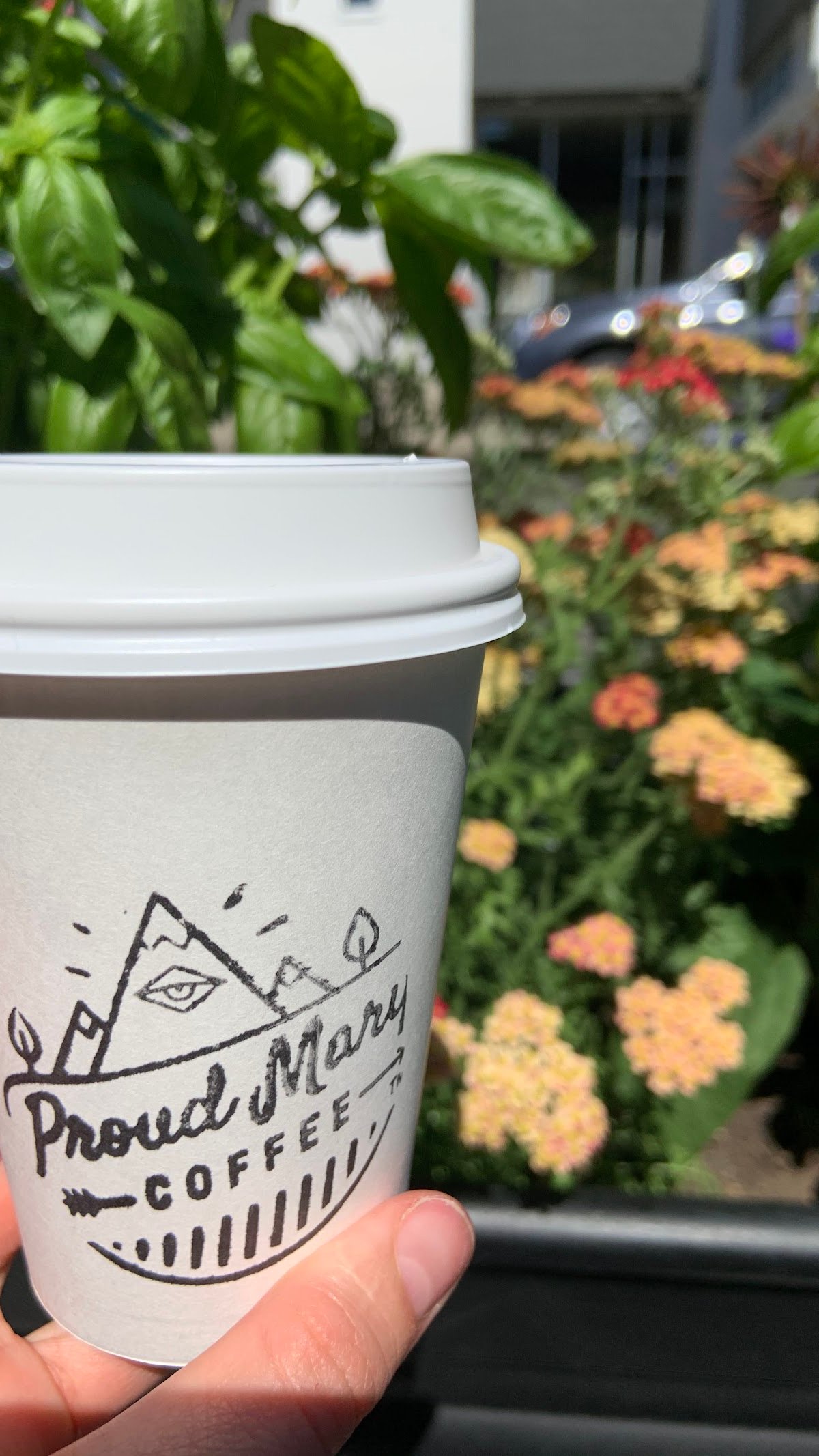 Proud Mary Cafe specialty coffee shop in Portland - photo 3