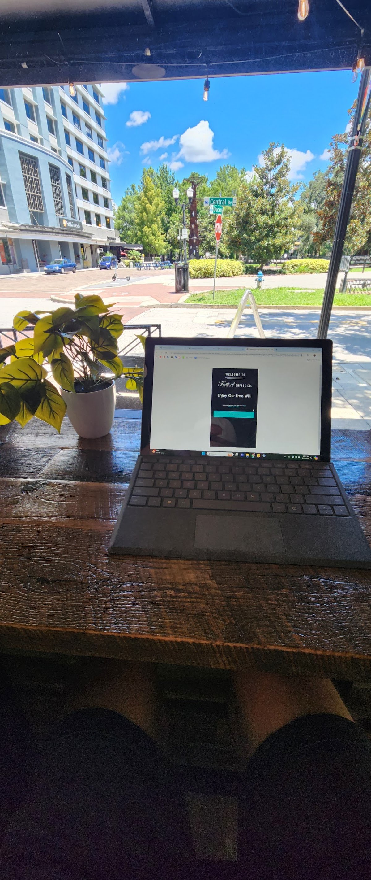 Foxtail Coffee - Lake Eola specialty coffee shop in Orlando - photo 11