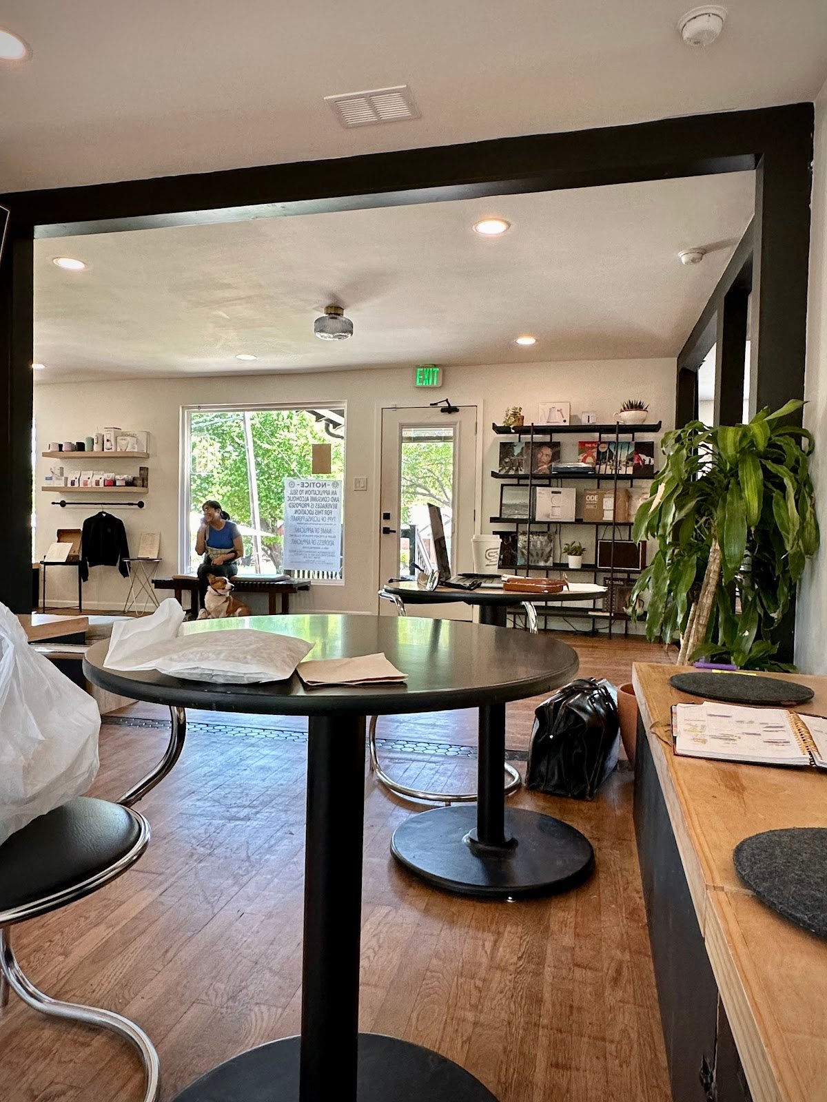 Slow and Steady Coffee specialty coffee shop in Dallas - photo 10