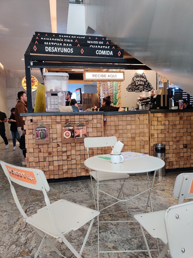 Interior of Boicot Café Antara, specialty coffee shop in Mexico City