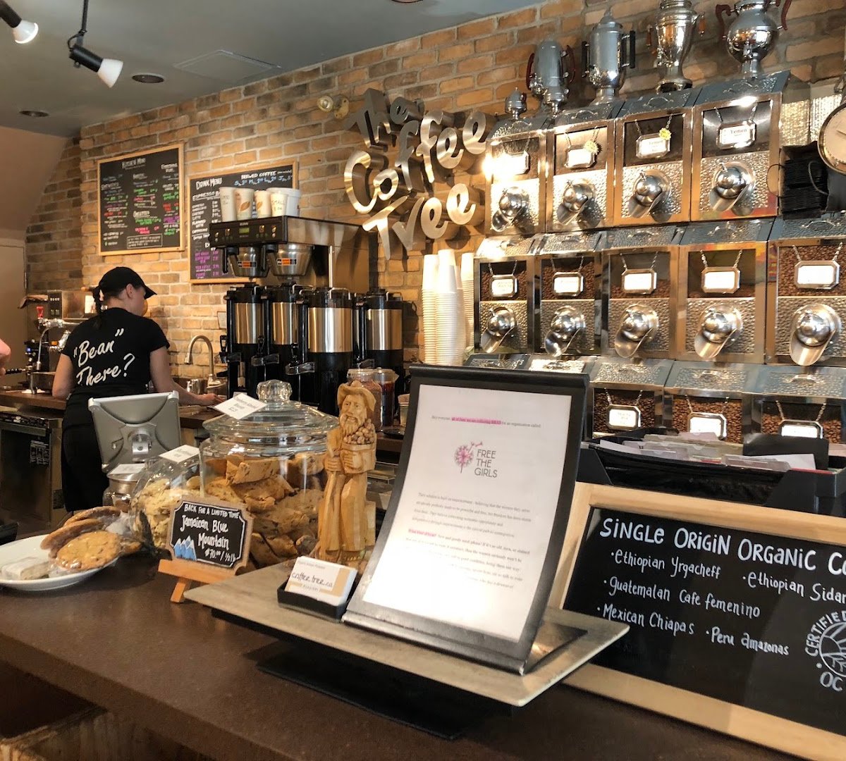 Interior of Coffee Tree Roastery, specialty coffee shop in Toronto