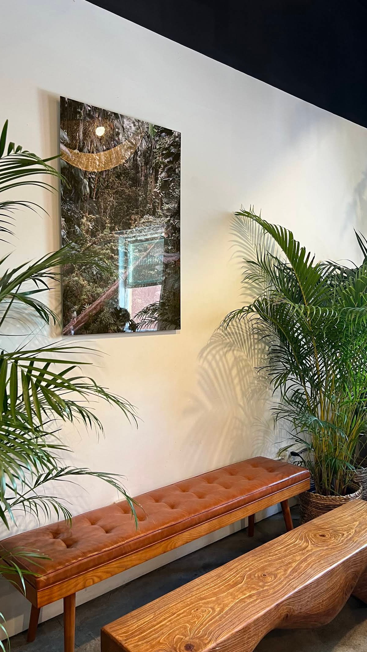 Plantoem Cafe specialty coffee shop in Honolulu - photo 11