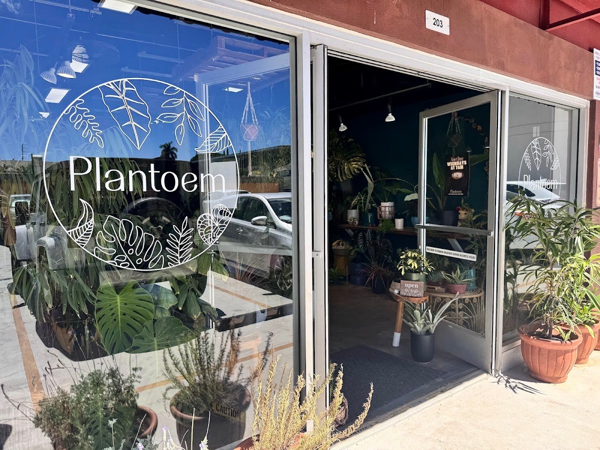 Plantoem Cafe specialty coffee shop in Honolulu - photo 2