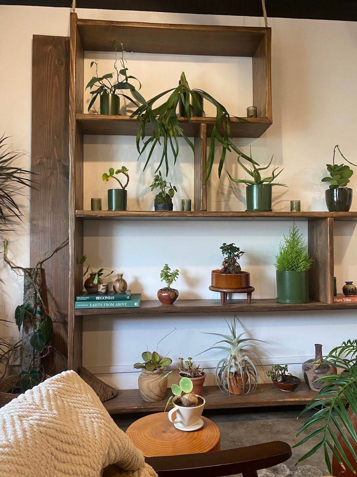 Plantoem Cafe specialty coffee shop in Honolulu - photo 5