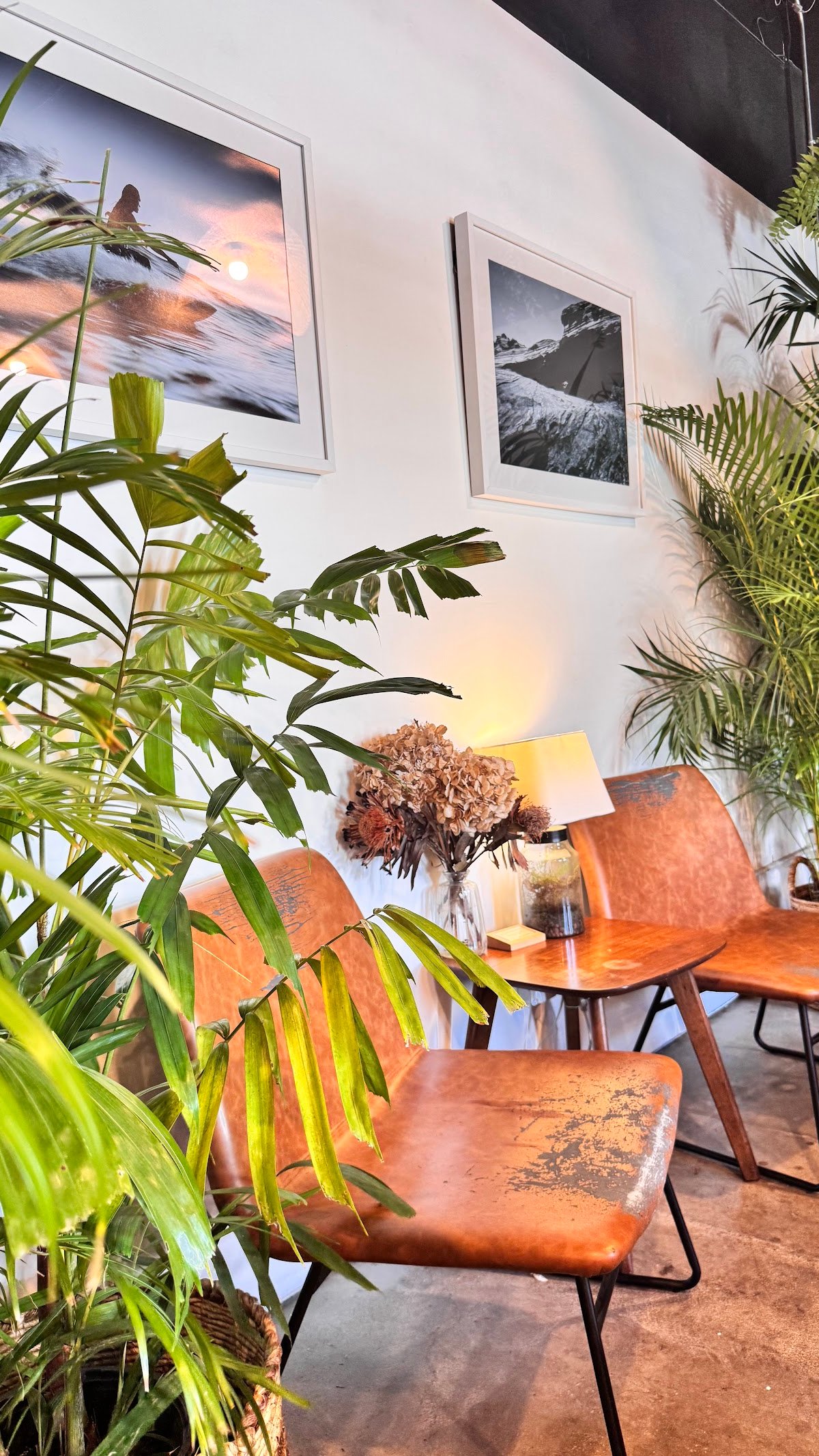 Plantoem Cafe specialty coffee shop in Honolulu - photo 8