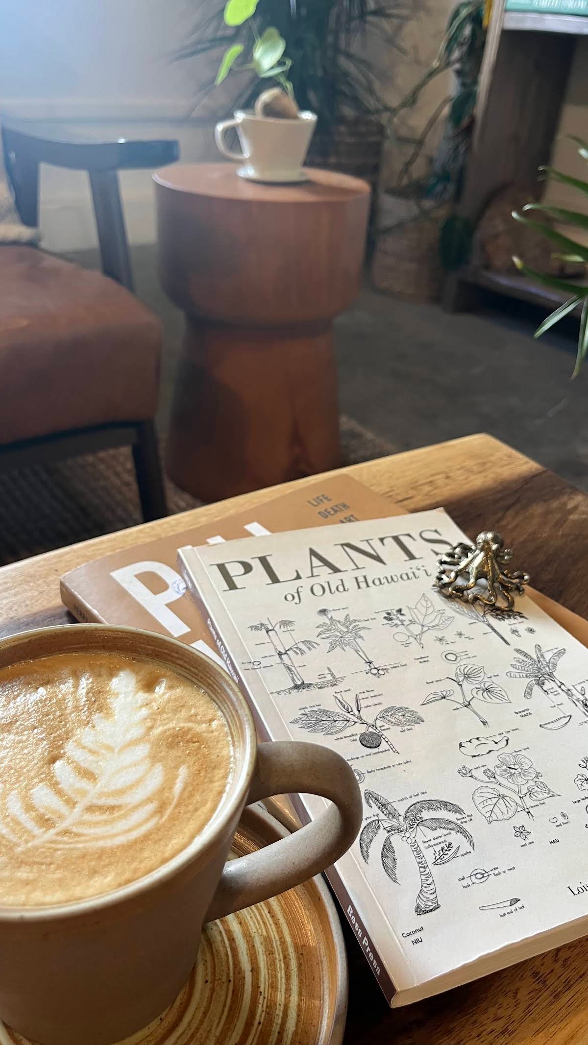 Plantoem Cafe specialty coffee shop in Honolulu - photo 9