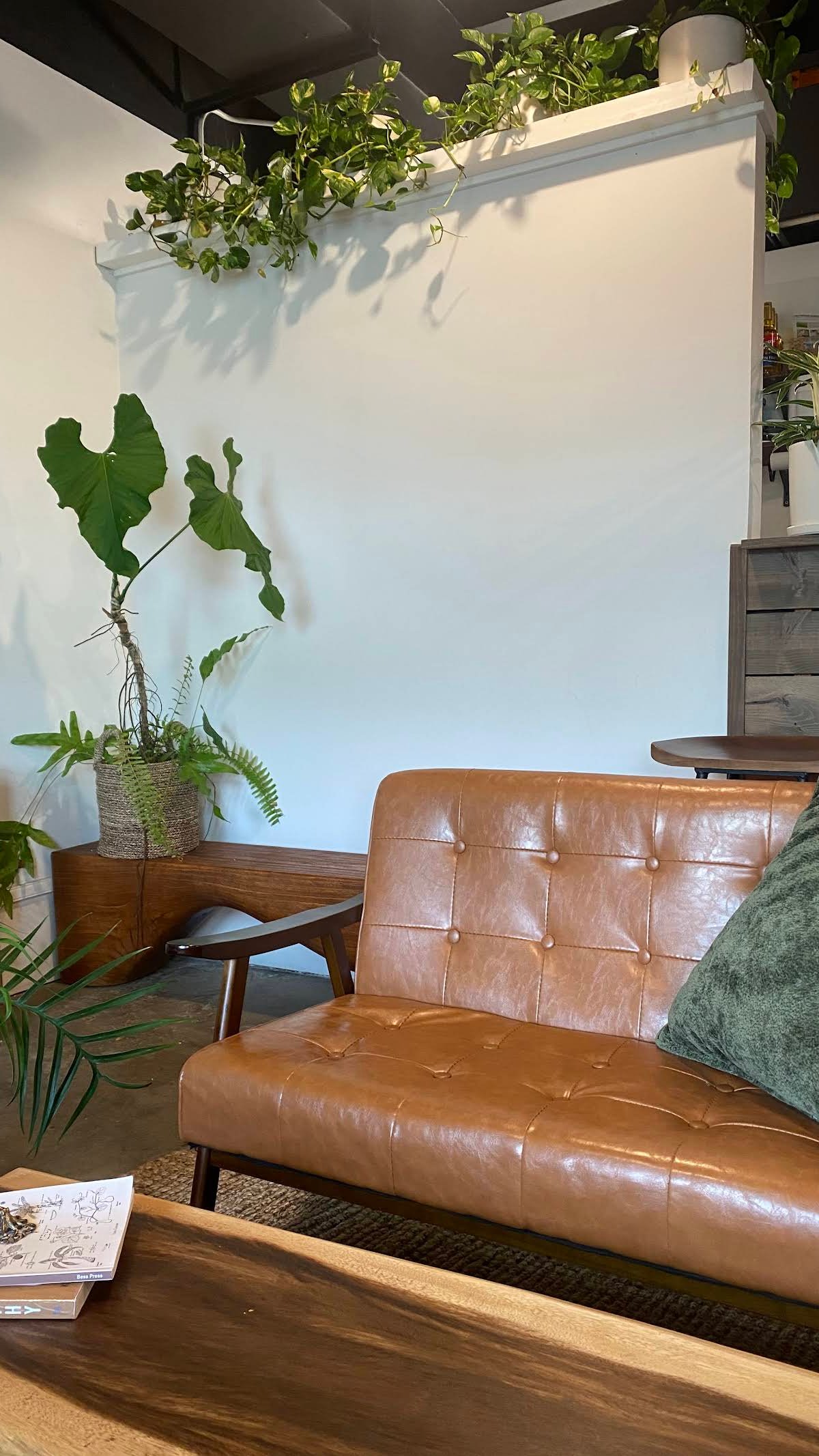 Plantoem Cafe specialty coffee shop in Honolulu - photo 10