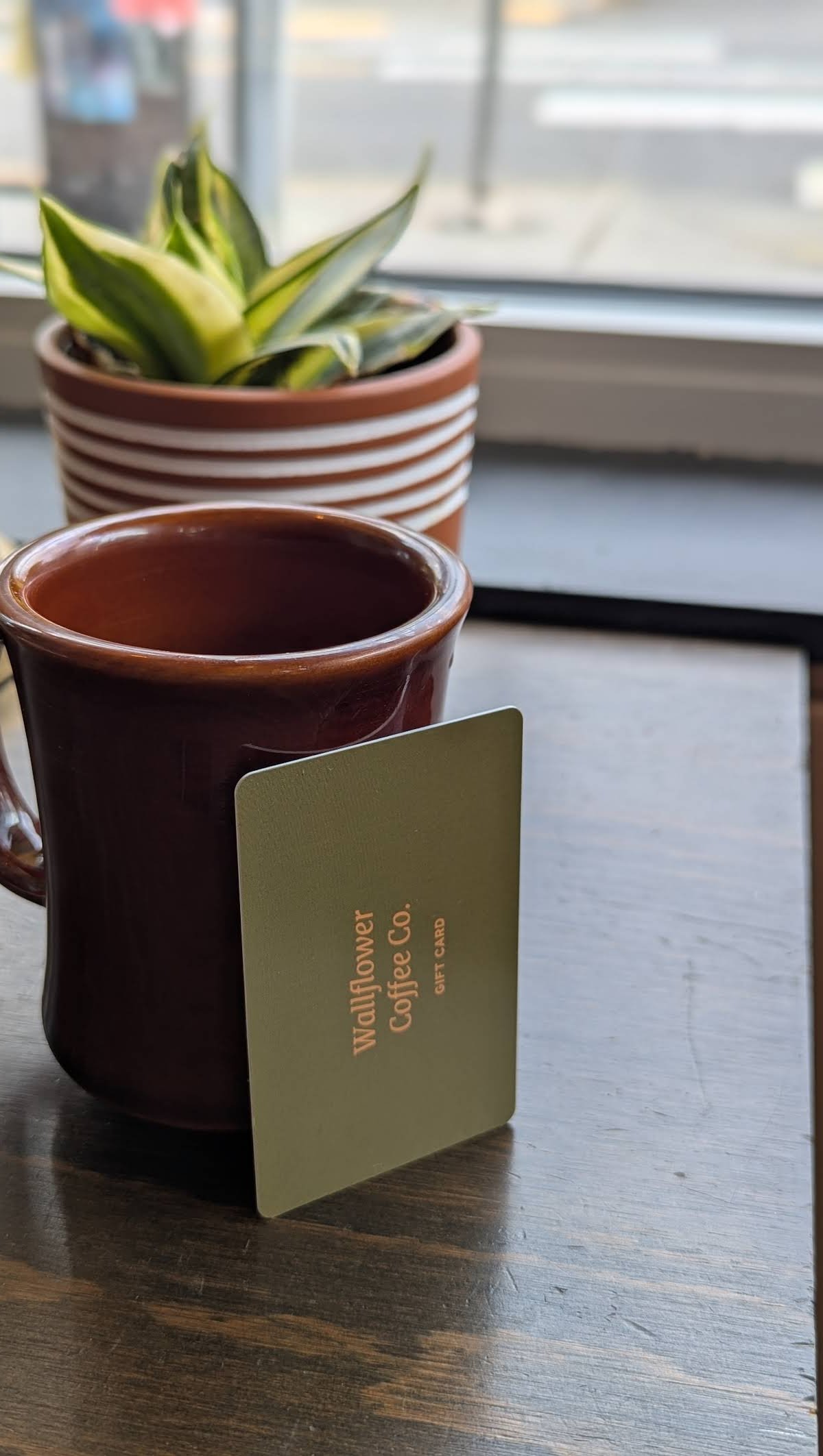 Wallflower Coffee Company specialty coffee shop in Portland - photo 17