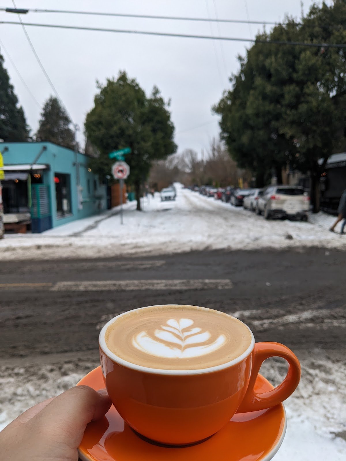 Wallflower Coffee Company specialty coffee shop in Portland - photo 2