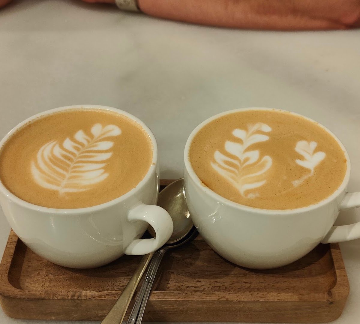 Literal Coffee specialty coffee shop in Madrid - photo 3