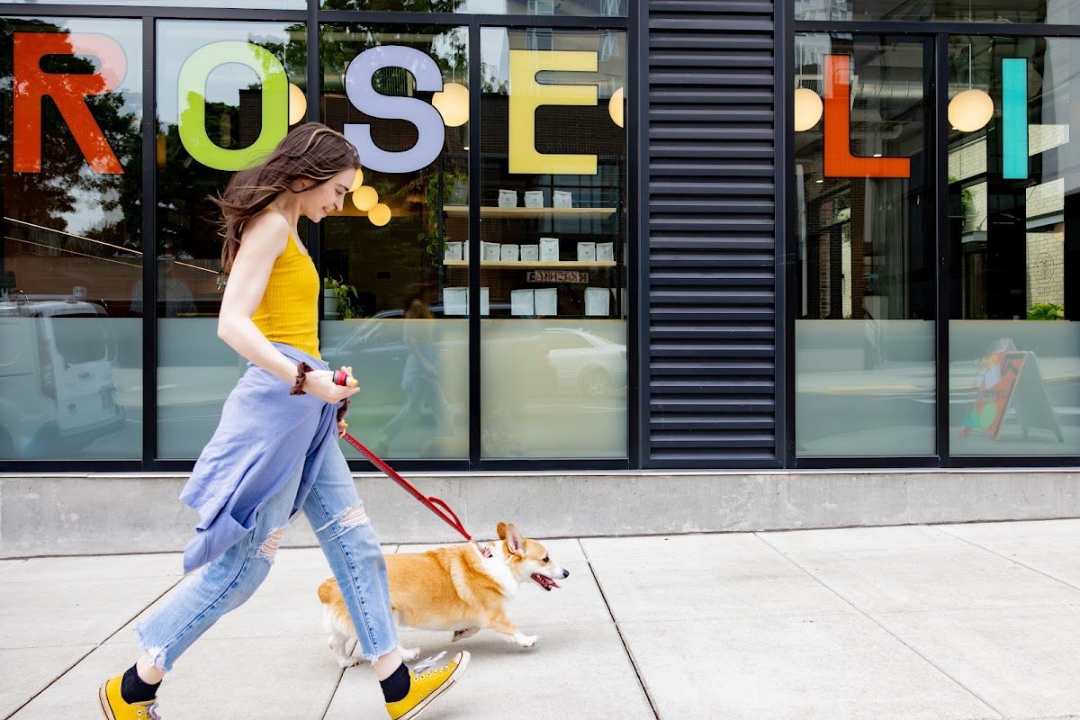 Roseline Coffee specialty coffee shop in Portland - photo 4