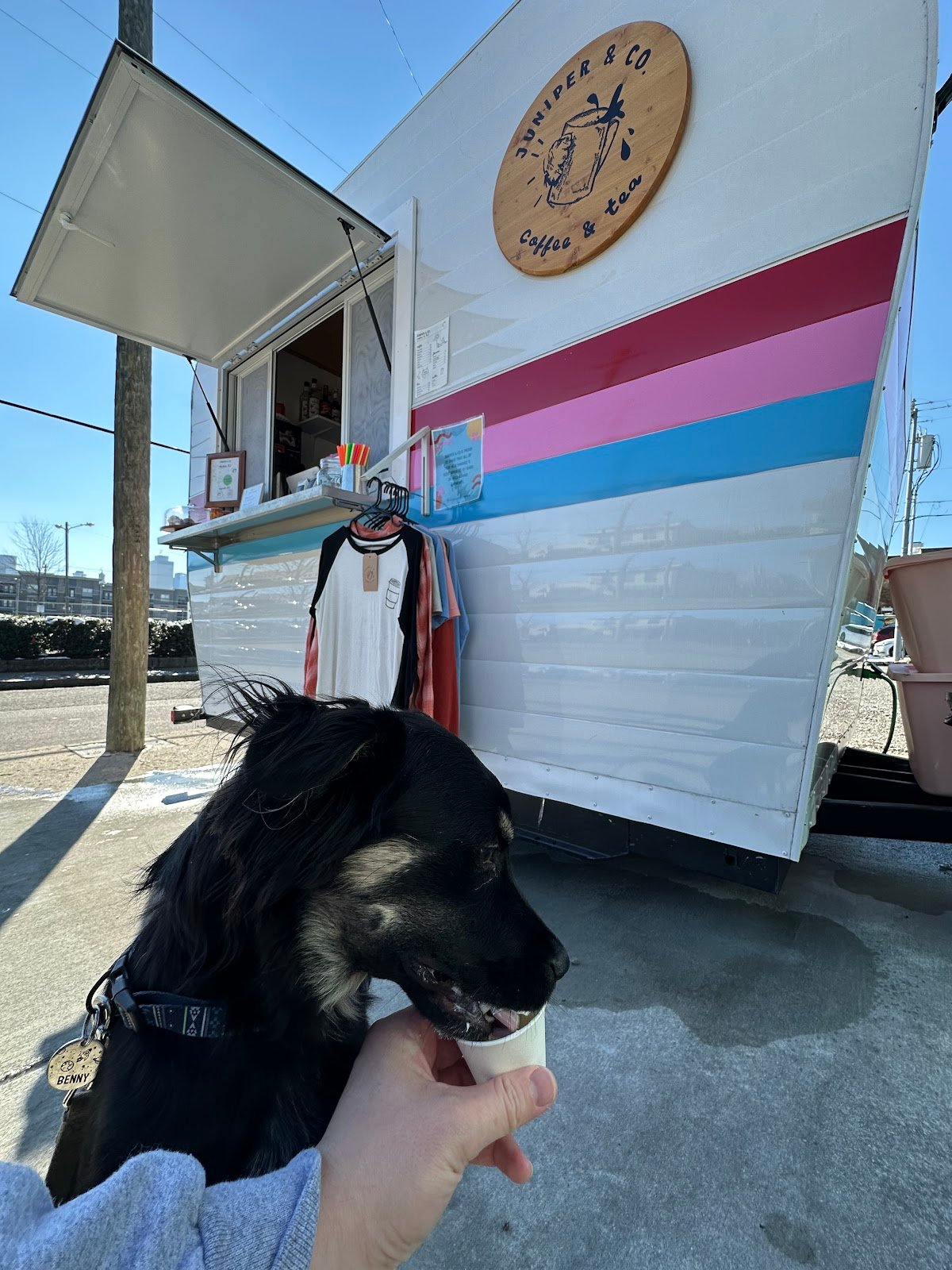 Juniper & Co. Coffee & Tea specialty coffee shop in Nashville - photo 7