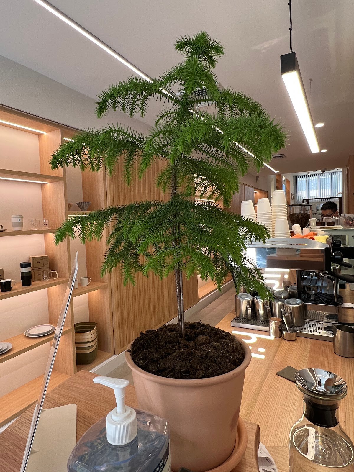 Hikari specialty coffee shop in Melbourne - photo 2