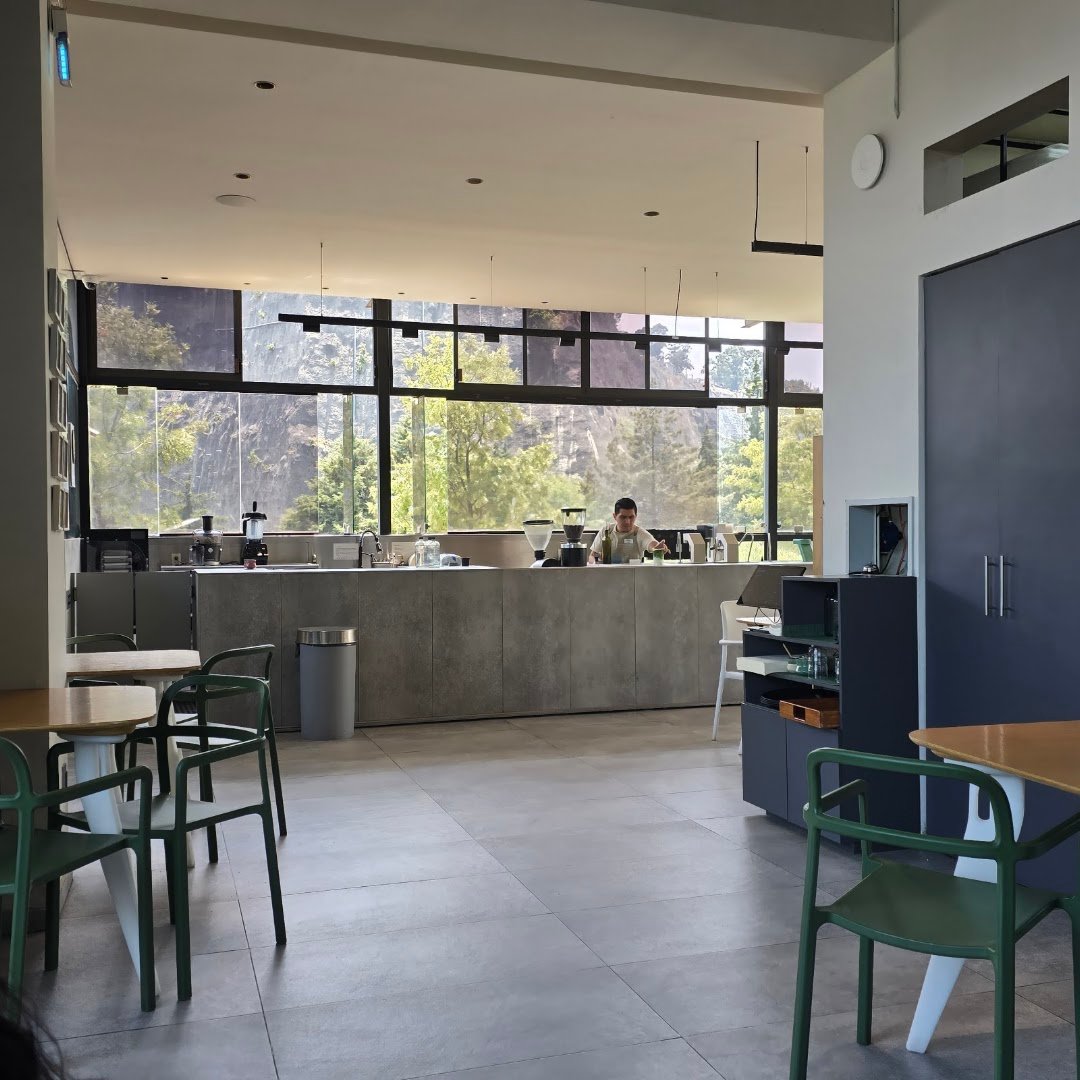 Interior of Exploradores Club de Cafe, specialty coffee shop in Mexico City
